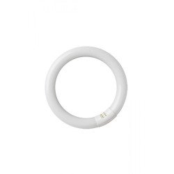 Tubo fluoresc. circular t9 22w g10q 6400k