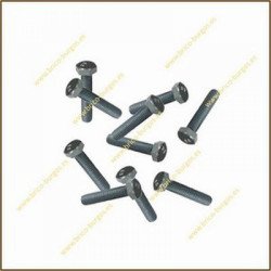 Blister tornillo m6x30 -10 ud-